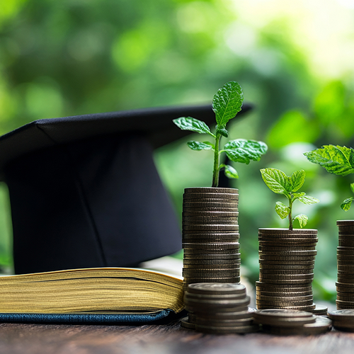 college fees and funding